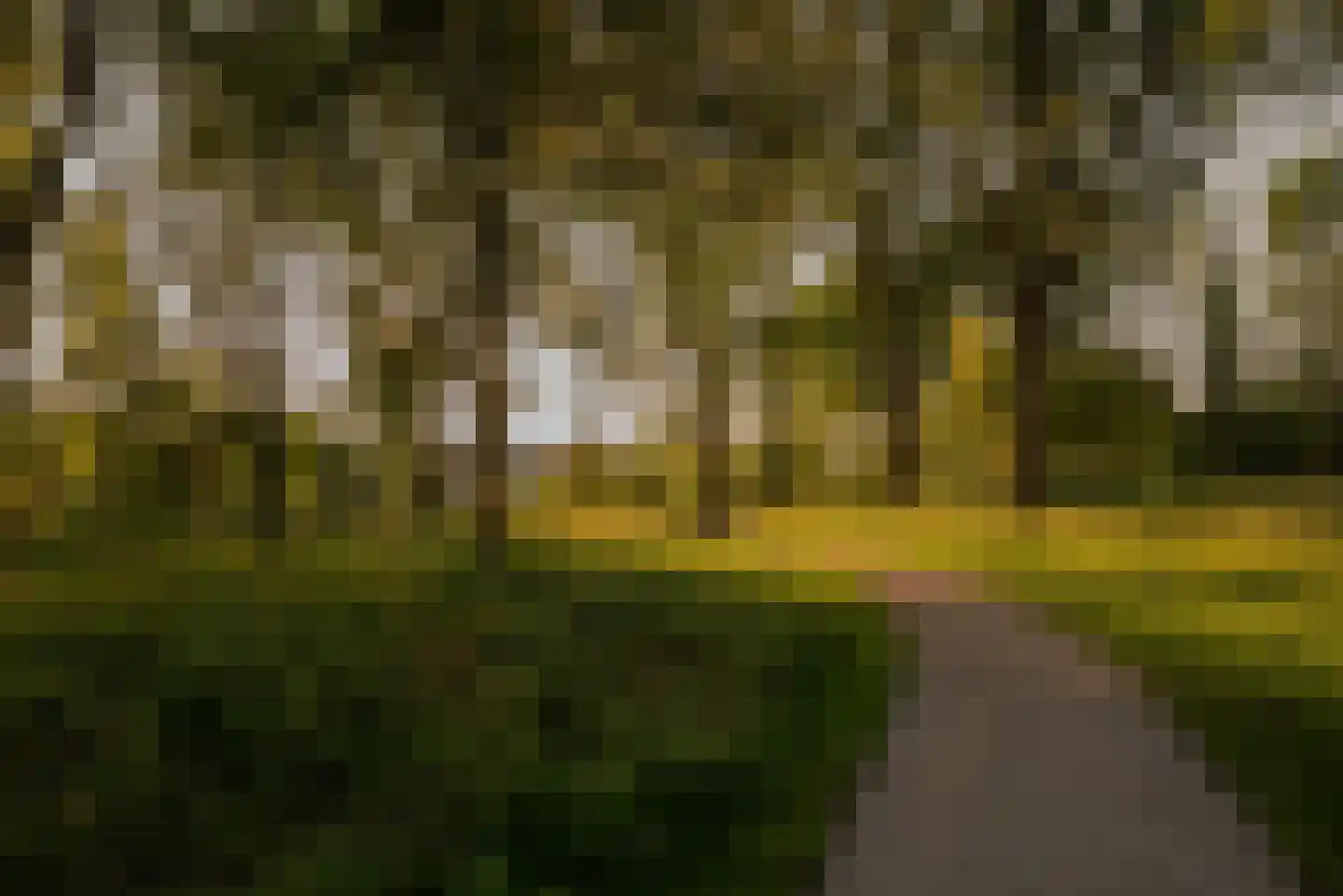 Cornelis van Vugtstraat 4 Zaandam thumbnail 27