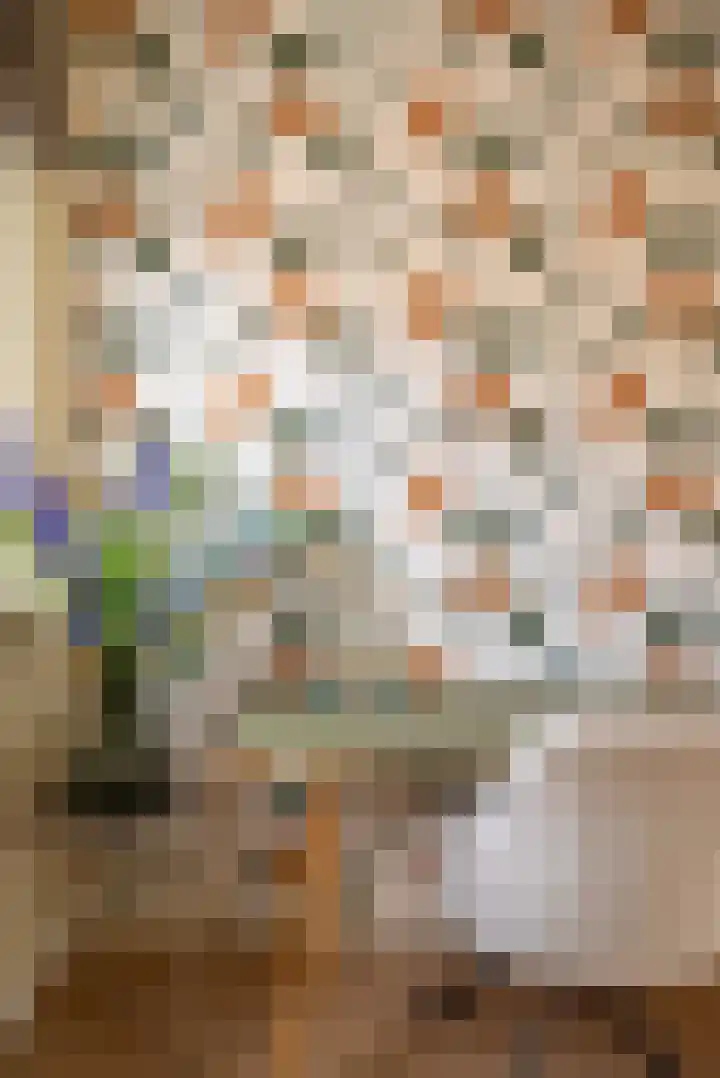 Cornelis van Vugtstraat 6 Zaandam thumbnail 10