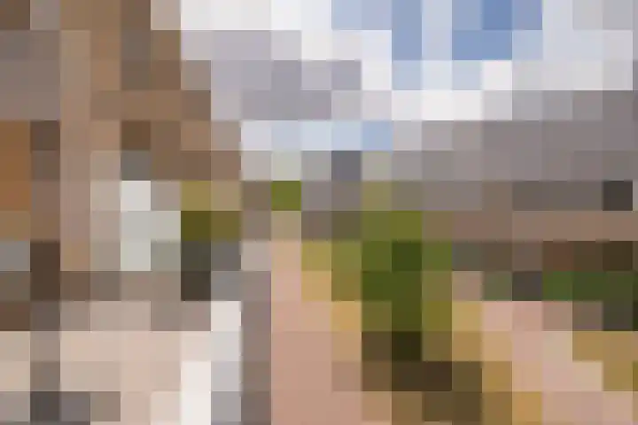 Cornelis van Vugtstraat 6 Zaandam thumbnail 14