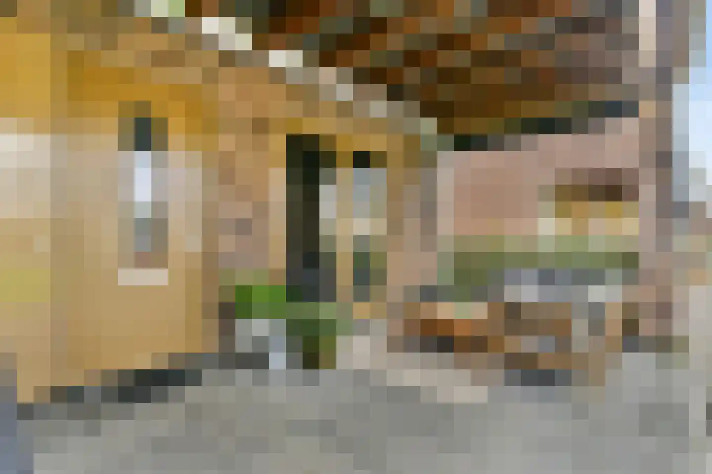 Cornelis van Vugtstraat 9 Zaandam thumbnail 7