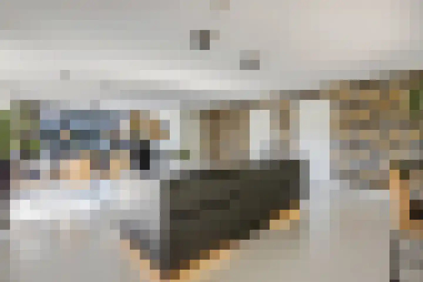 Cornelis Verduijnstraat 14 Ede thumbnail 10