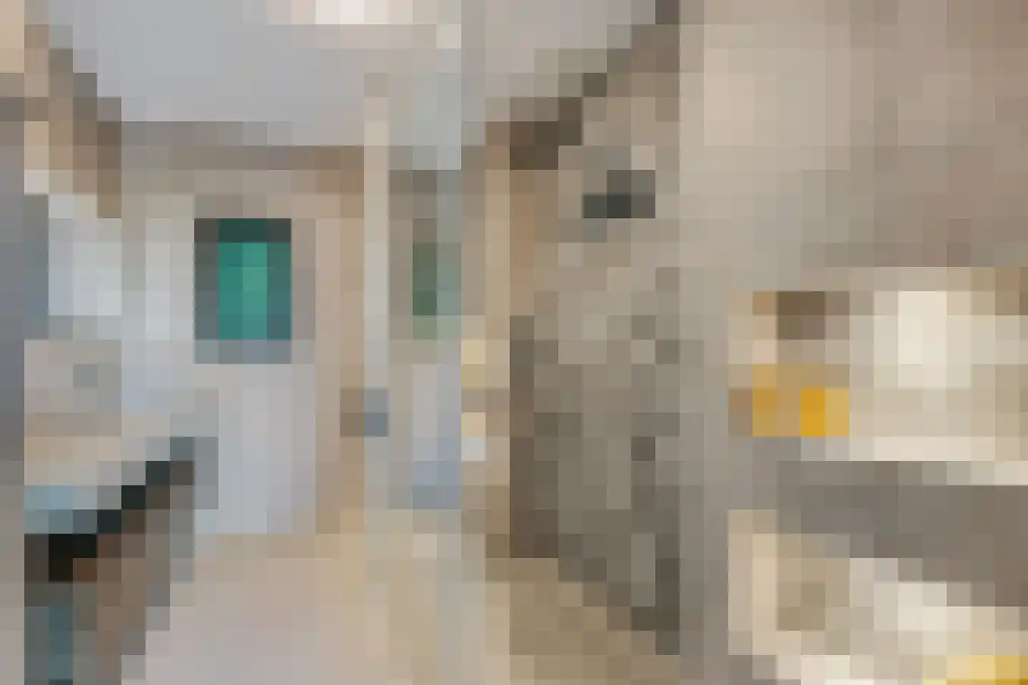 Cornelis Verduijnstraat 14 Ede thumbnail 21