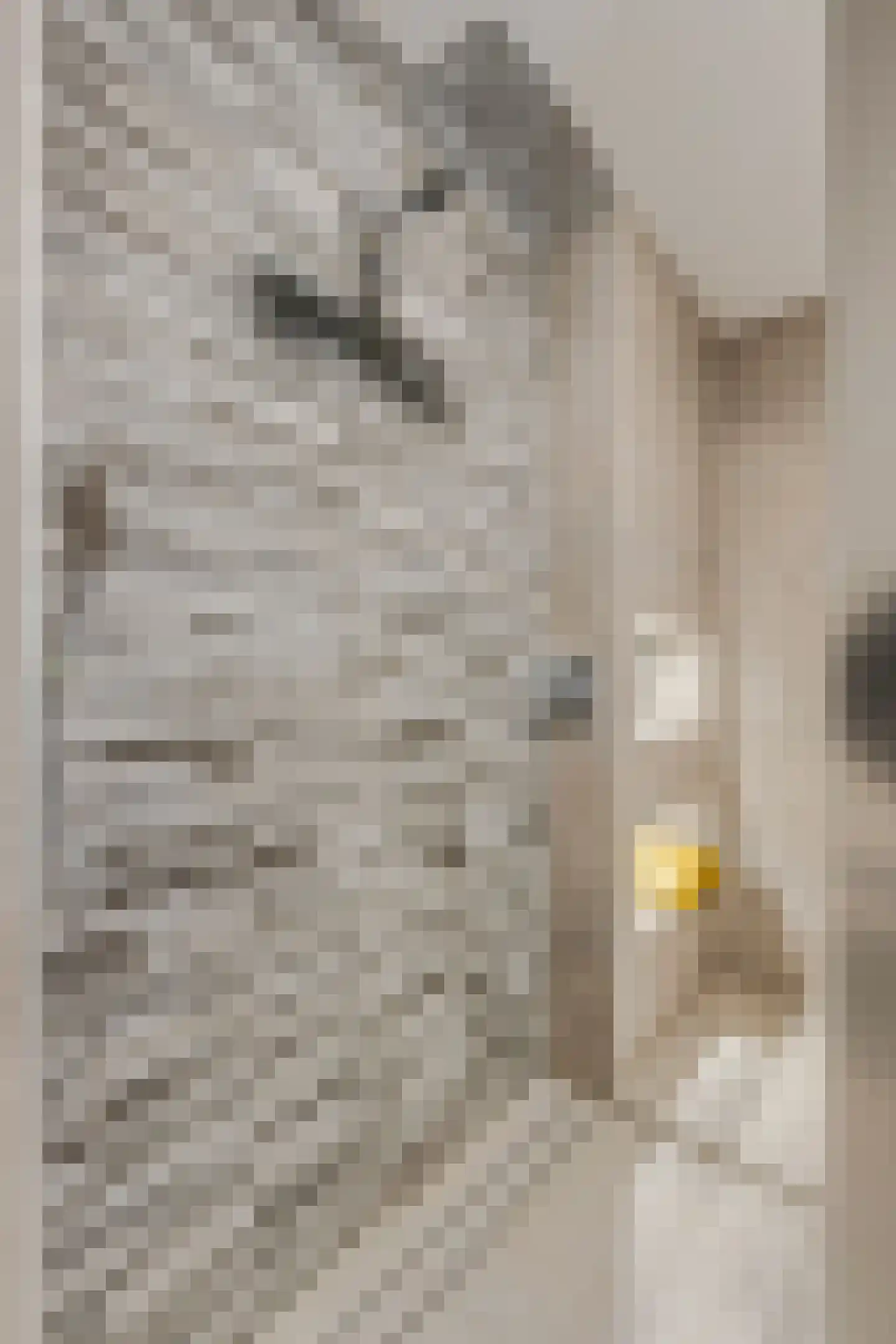 Cornelis Verduijnstraat 14 Ede thumbnail 24