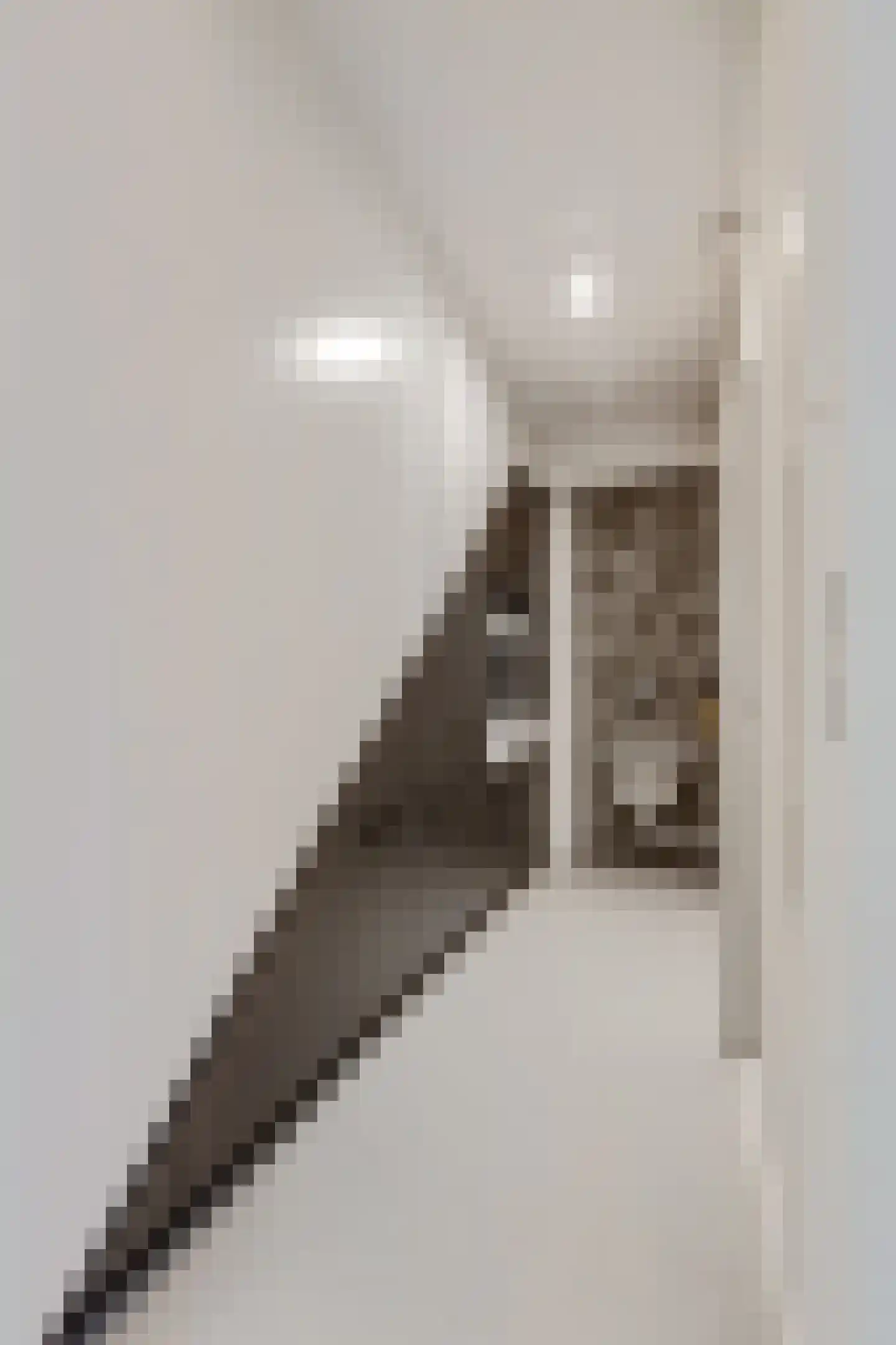 Cornelis Verduijnstraat 14 Ede thumbnail 25