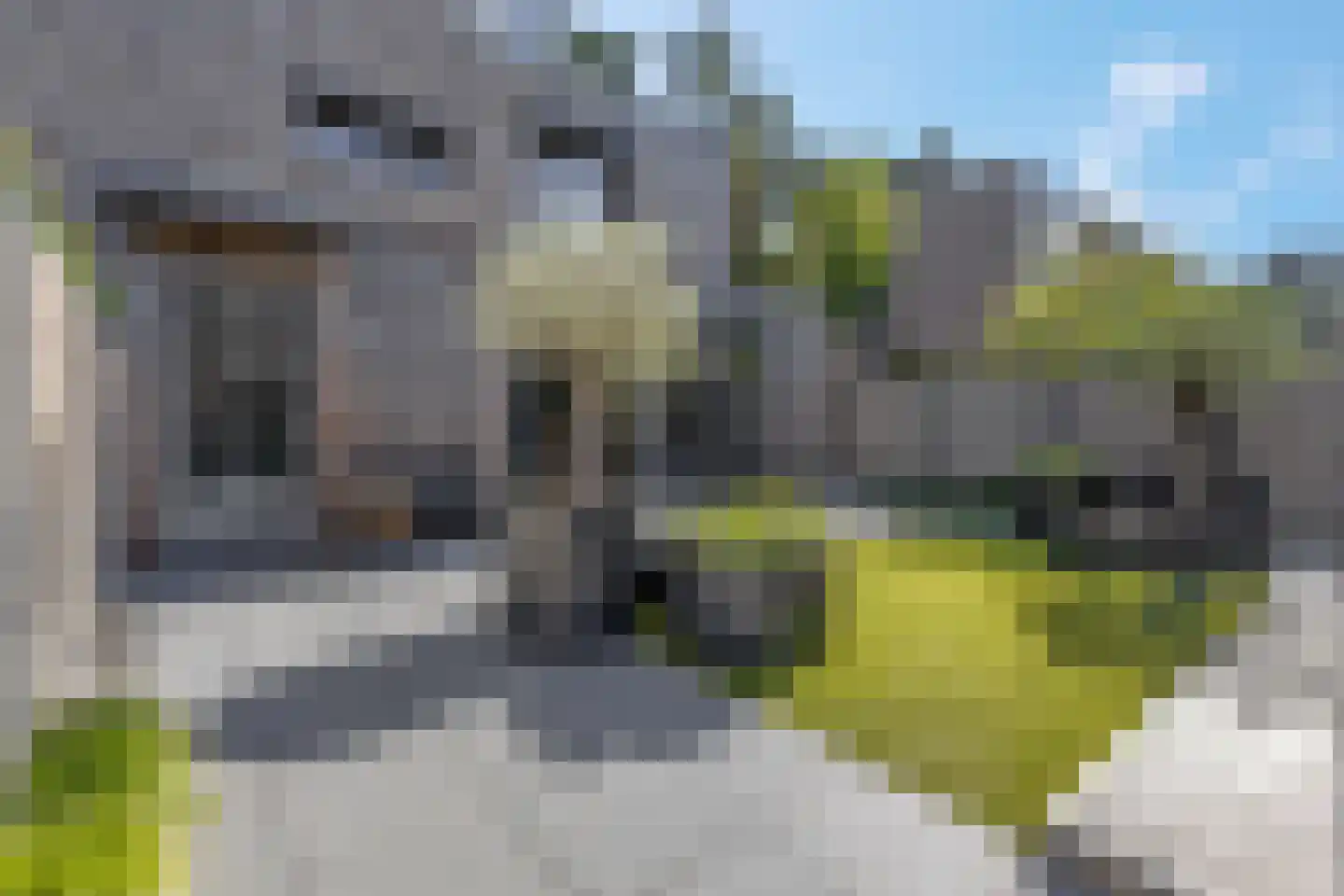 Cornelis Verduijnstraat 14 Ede thumbnail 41