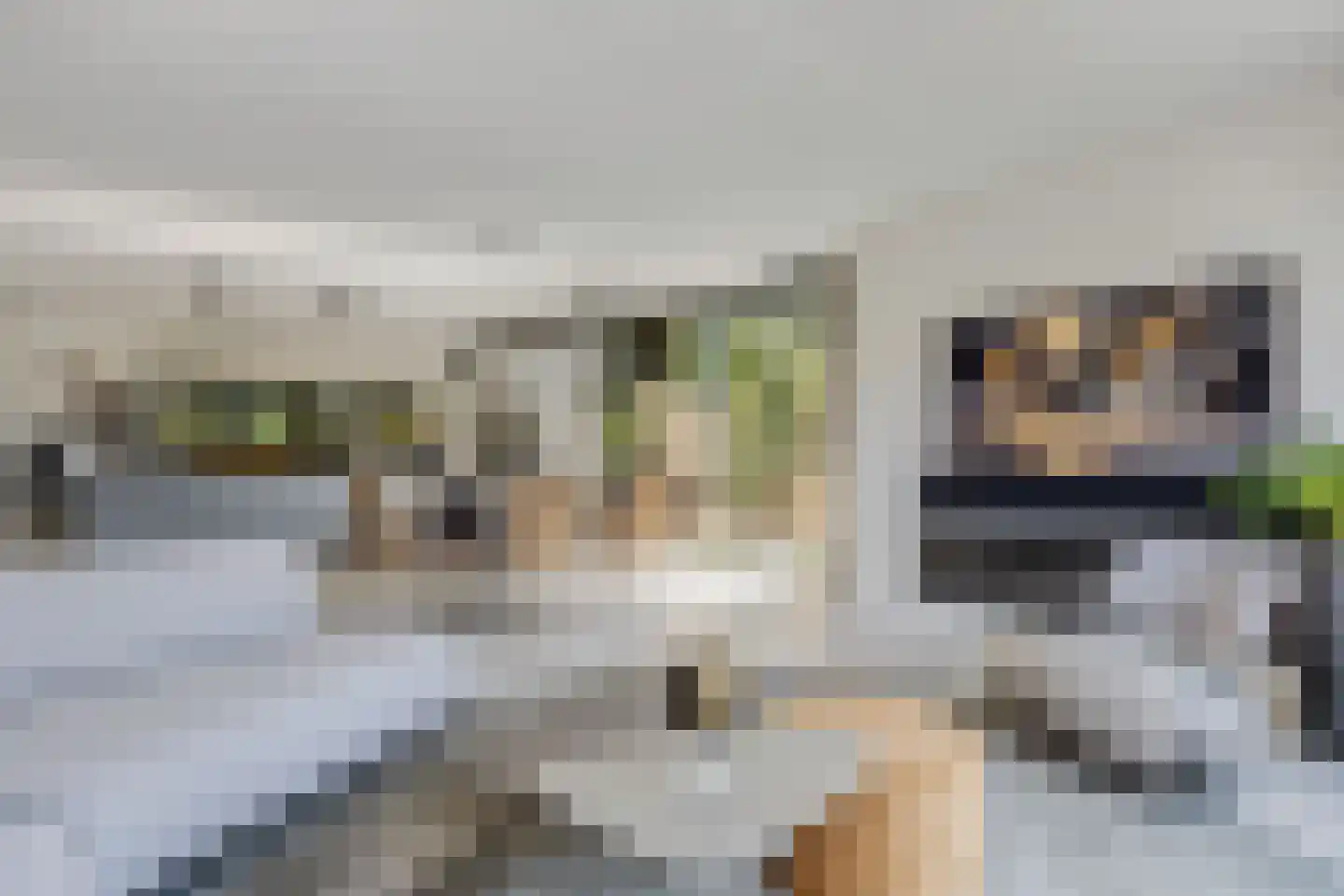 Cornelis Verduijnstraat 14 Ede thumbnail 5