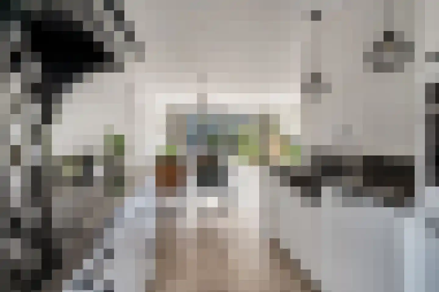 Cornelis Verduijnstraat 25 Ede thumbnail 11