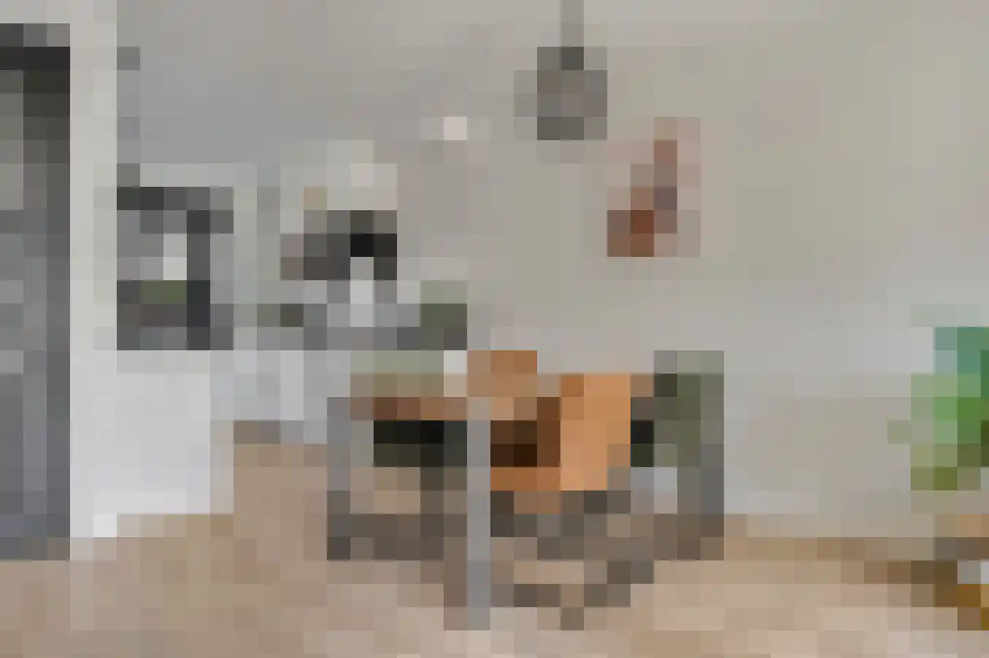 Cornelis Verduijnstraat 25 Ede thumbnail 7