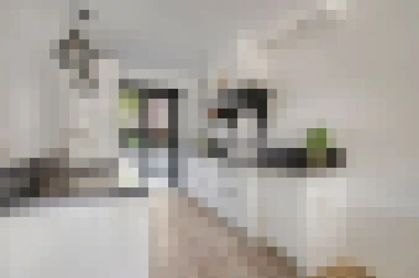 Cornelis Verduijnstraat 25 Ede thumbnail 8