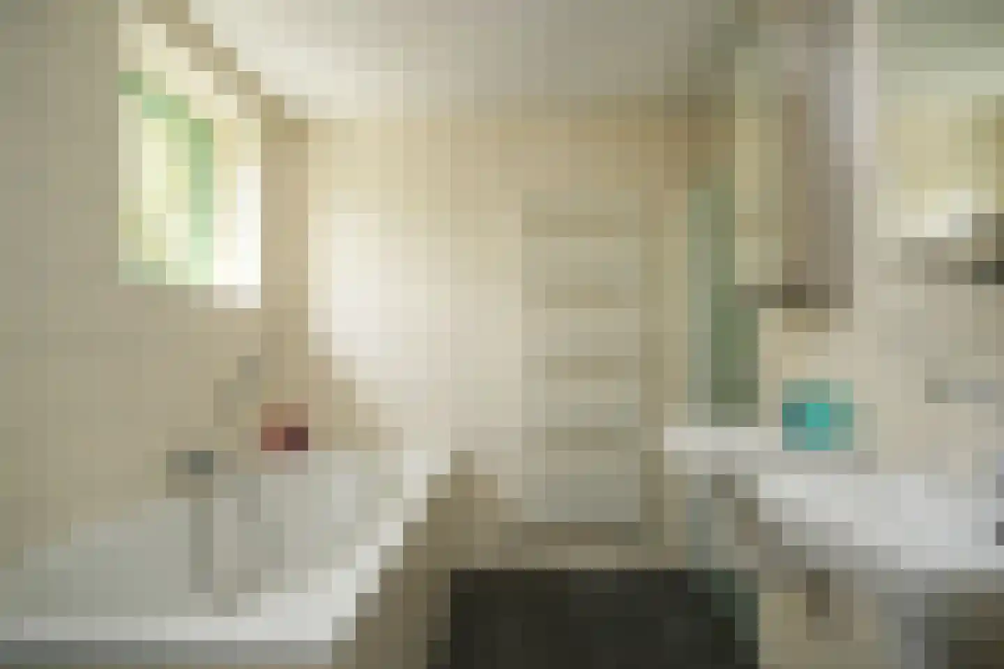 Cornelis Verheuvelstraat 4 Kedichem thumbnail 21