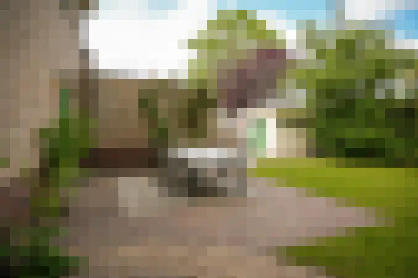 Cornelis Verheuvelstraat 4 Kedichem thumbnail 32