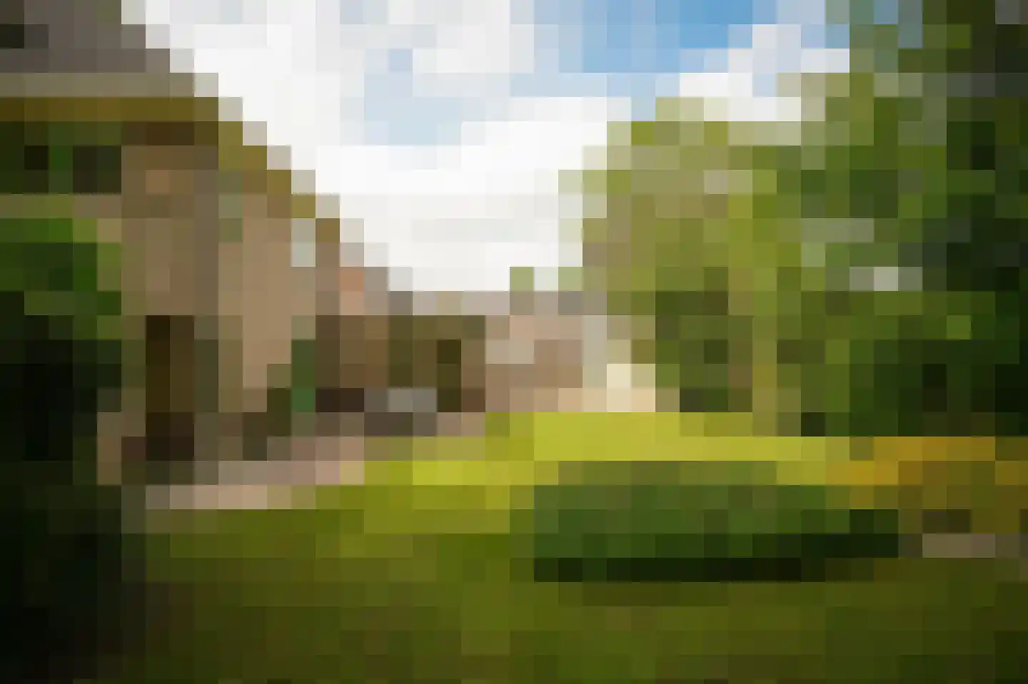 Cornelis Verheuvelstraat 4 Kedichem thumbnail 34