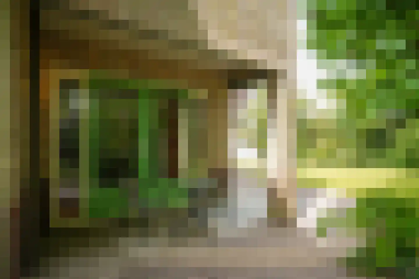 Cornelis Verheuvelstraat 4 Kedichem thumbnail 35