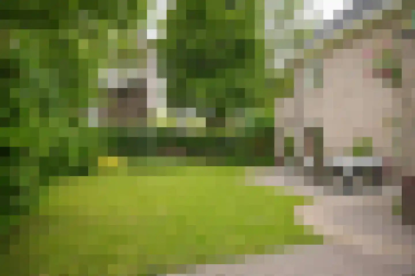 Cornelis Verheuvelstraat 4 Kedichem thumbnail 4