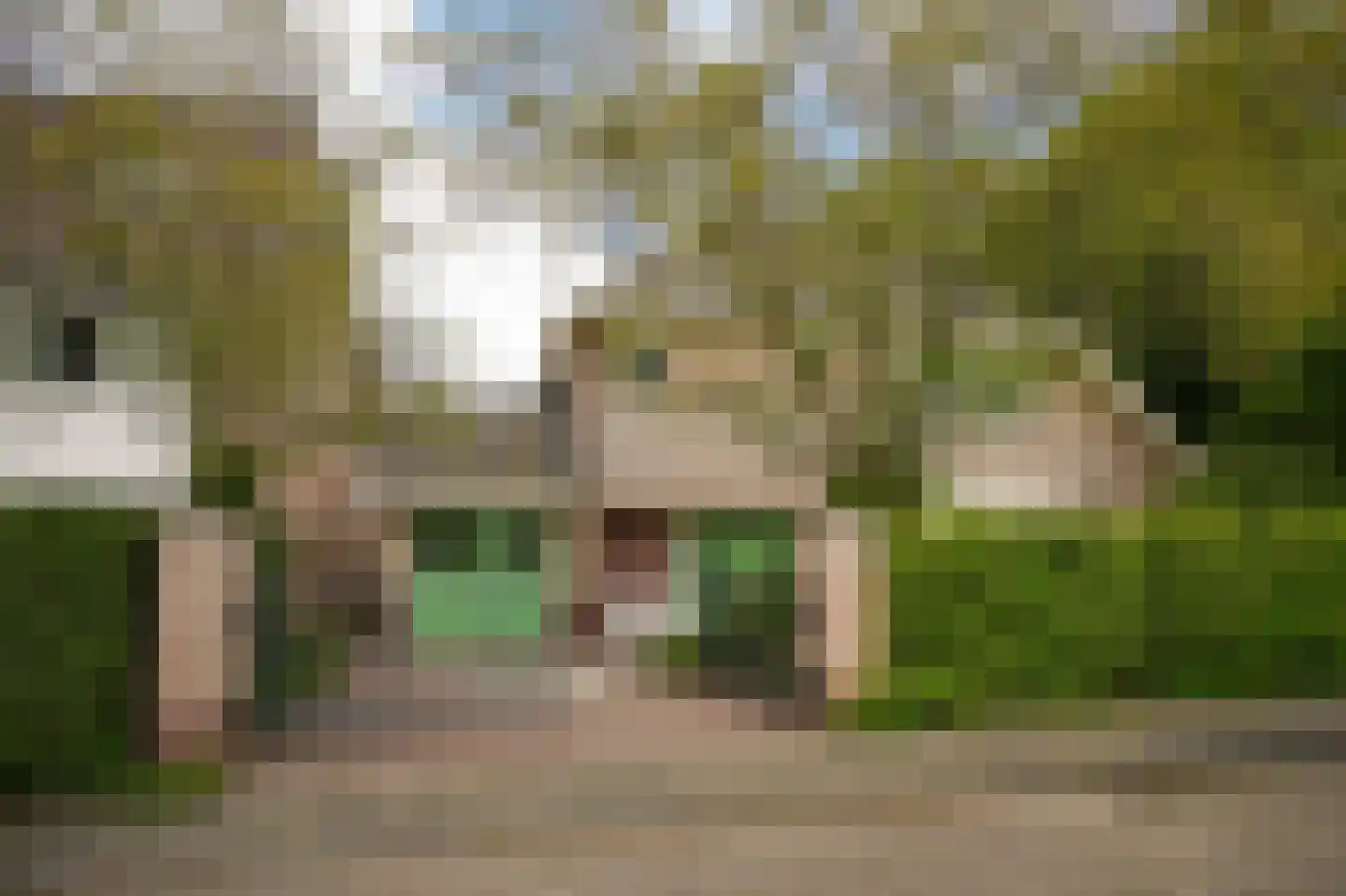 Cornelis Verheuvelstraat 4 Kedichem thumbnail 5