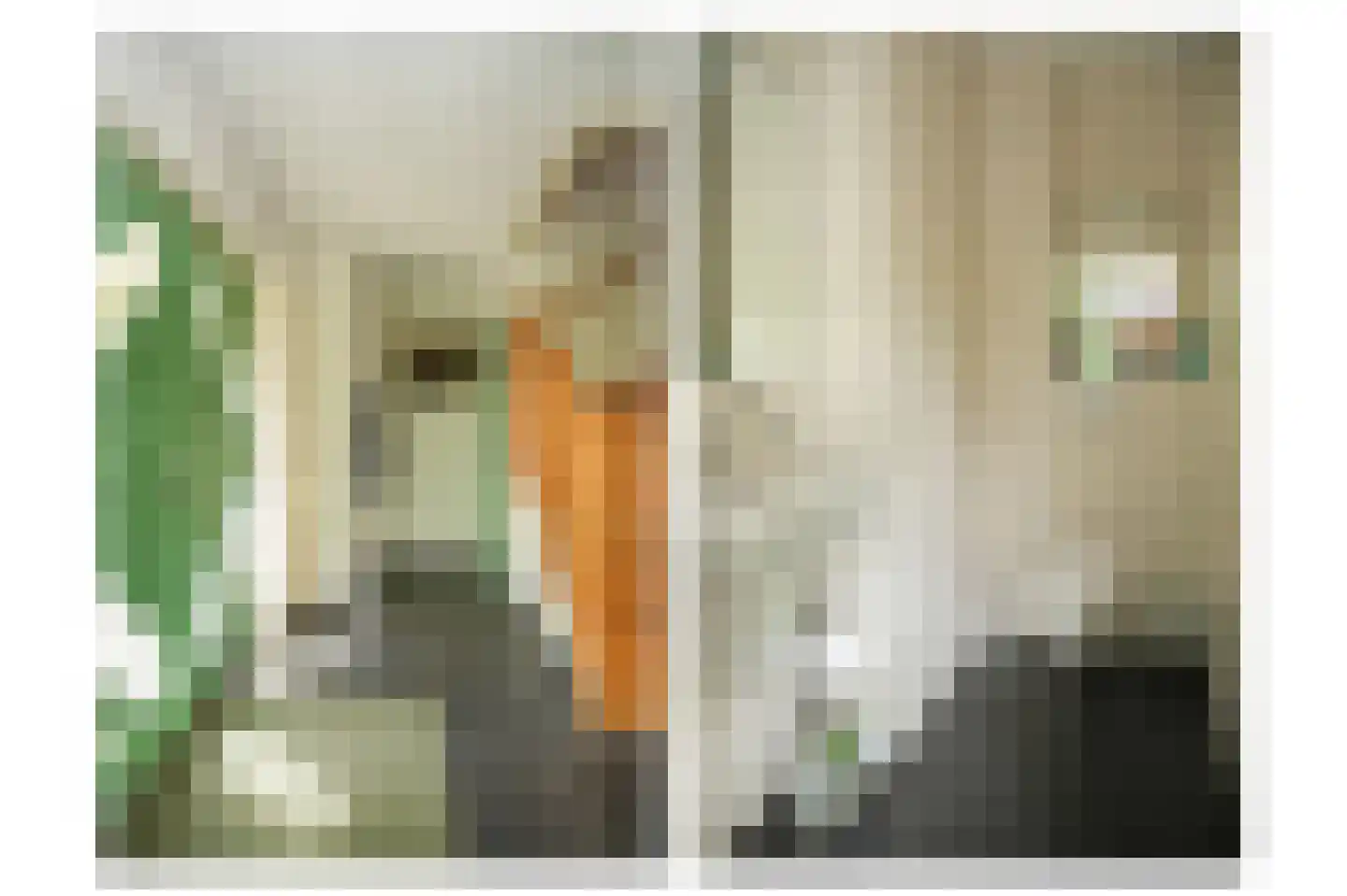 Cornelis Verheuvelstraat 4 Kedichem thumbnail 7