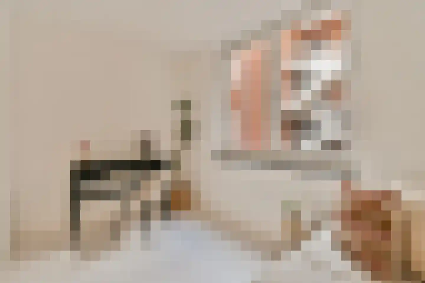 Cornelis Vermuydenstraat 16 Amsterdam thumbnail 13