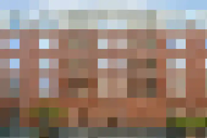 Cornelis Vermuydenstraat 18 Amsterdam thumbnail 20