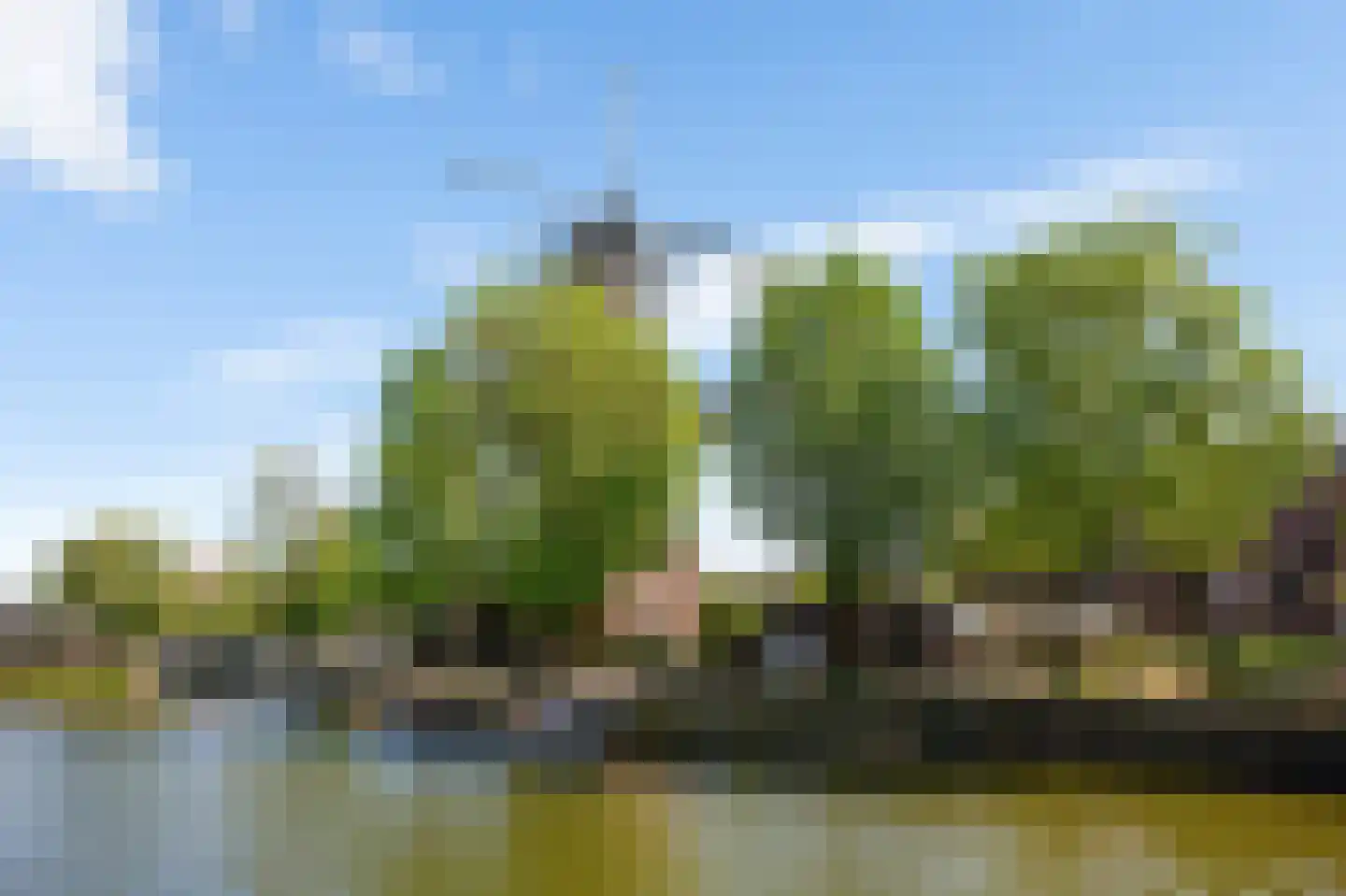 Cornelis Vermuydenstraat 38 Amsterdam thumbnail 28