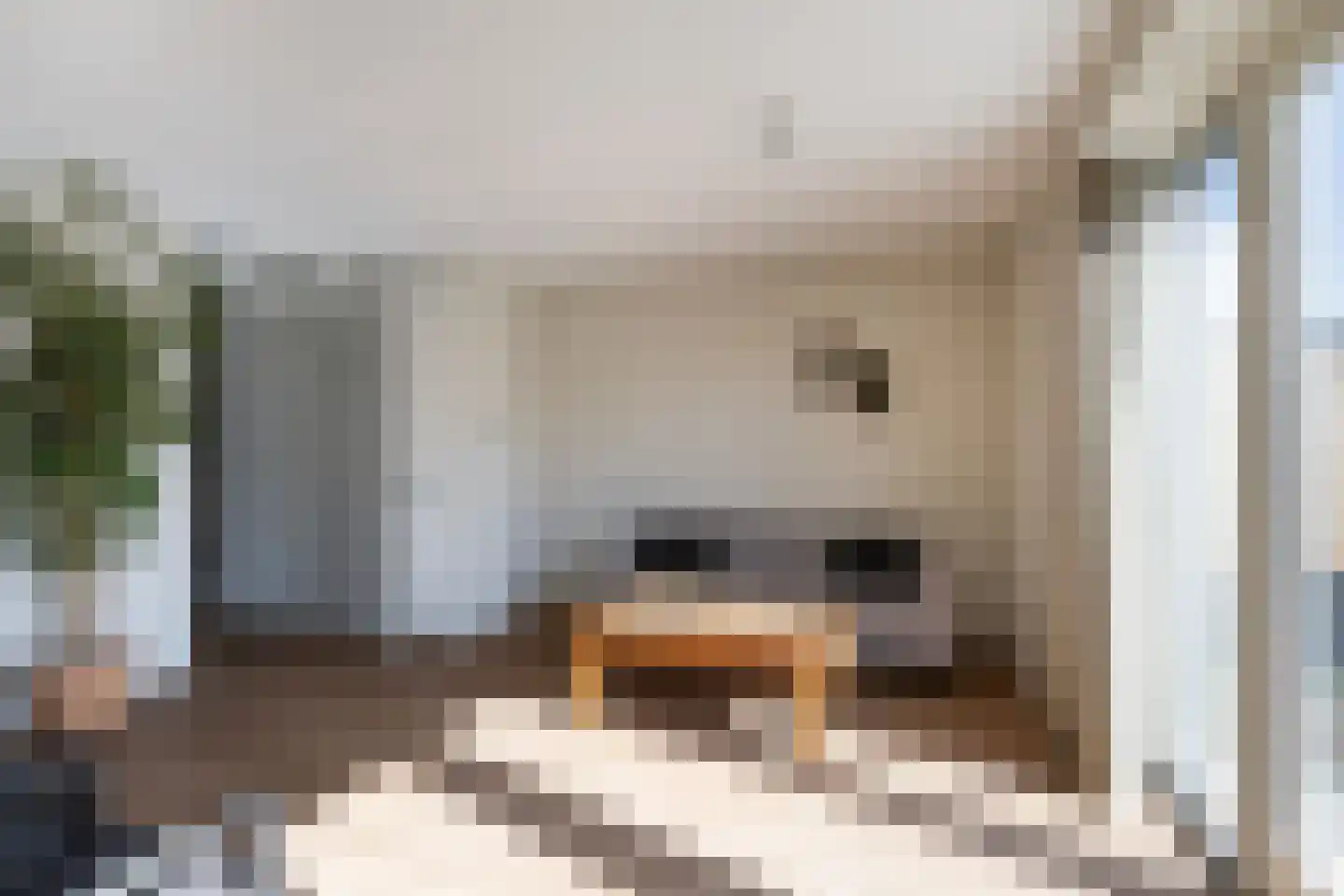 Cornelis Vermuydenstraat 4 Sint-Maartensdijk thumbnail 13
