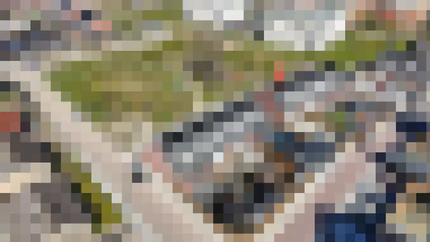 Cornelis Vermuydenstraat 4 Sint-Maartensdijk thumbnail 36