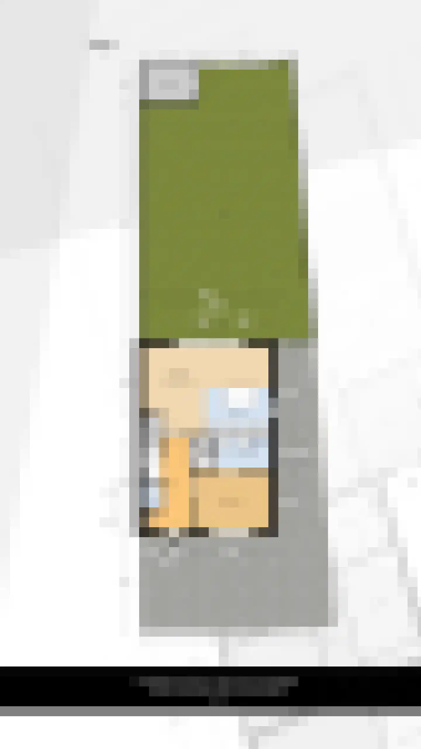 Cornelis Vermuydenstraat 4 Sint-Maartensdijk thumbnail 43
