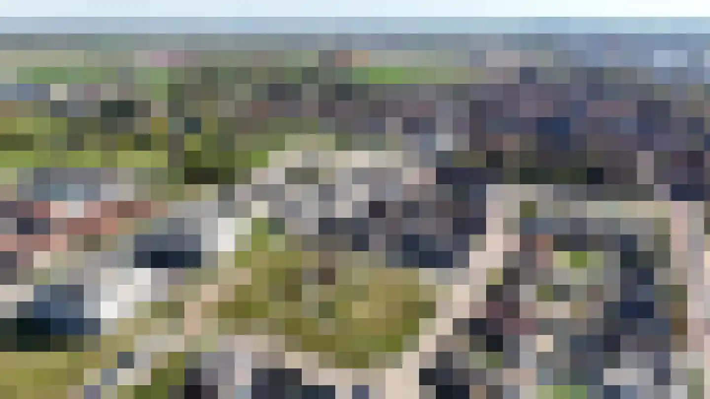 Cornelis Vermuydenstraat 4 Sint-Maartensdijk thumbnail 5