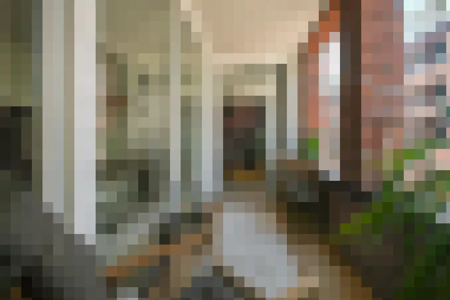 Cornelis Vermuydenstraat 46 Amsterdam thumbnail 21