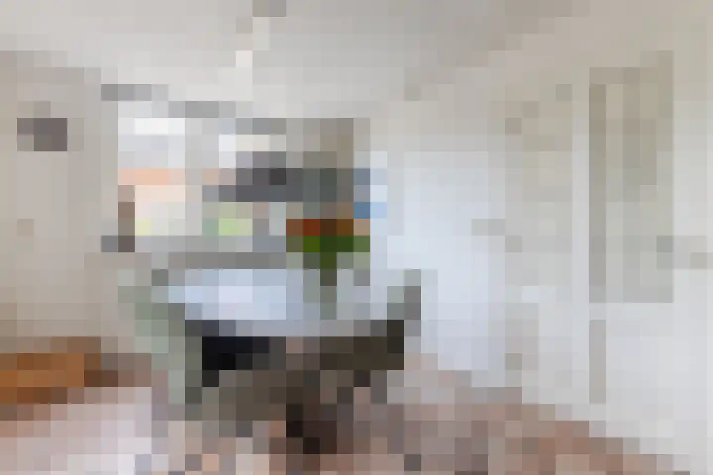 Cornelis Visserstraat 15 Spaarndam thumbnail 12
