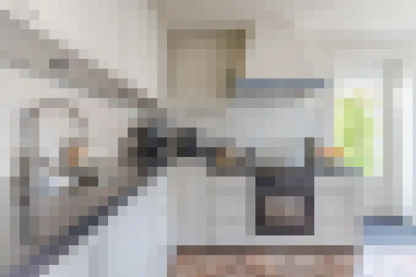 Cornelis Visserstraat 15 Spaarndam thumbnail 15