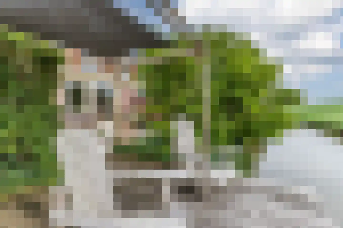 Cornelis Visserstraat 15 Spaarndam thumbnail 17