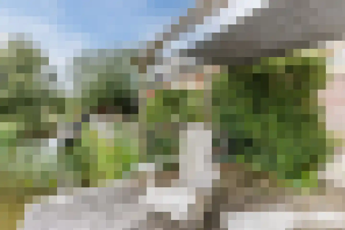 Cornelis Visserstraat 15 Spaarndam thumbnail 21