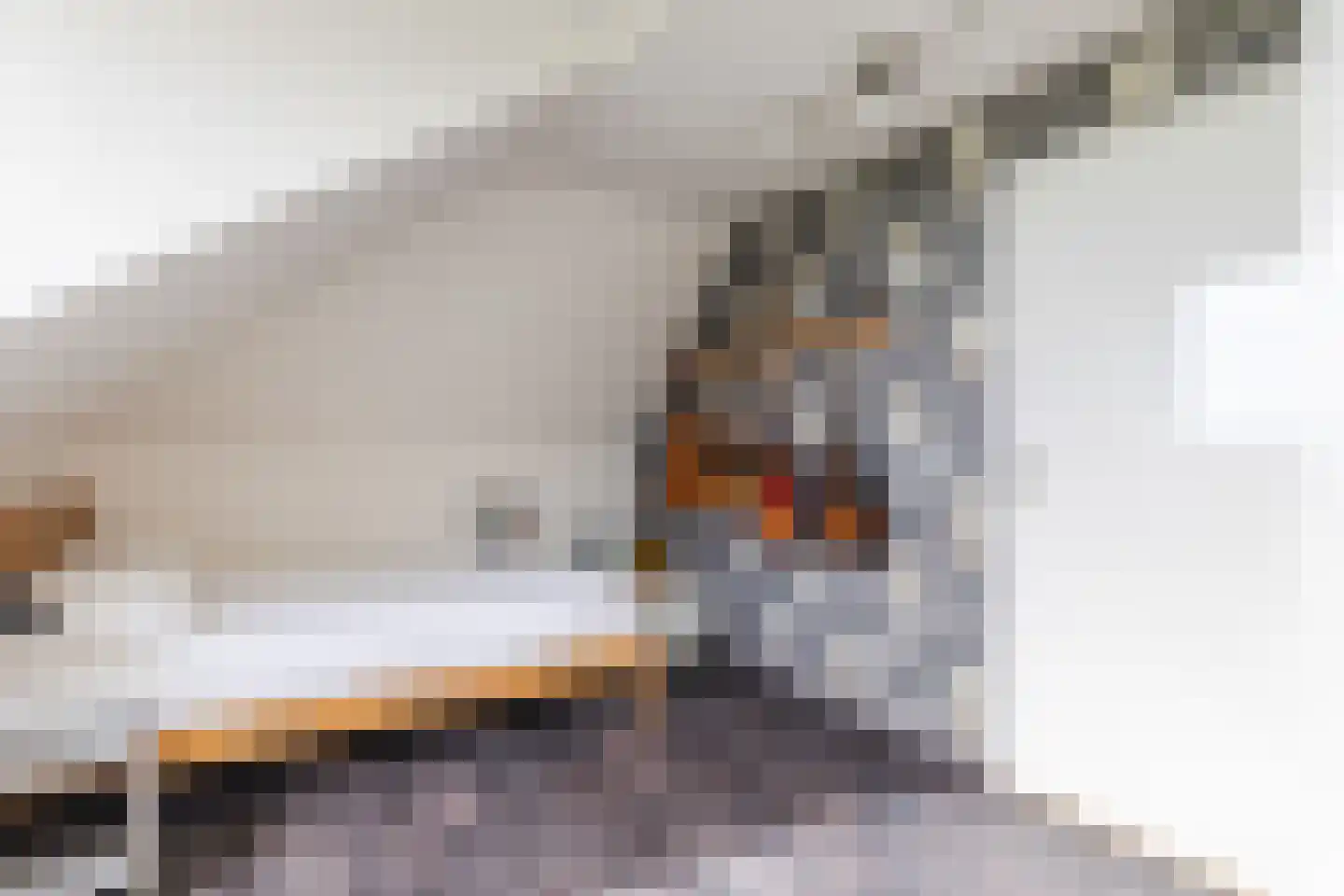 Cornelis Visserstraat 15 Spaarndam thumbnail 41