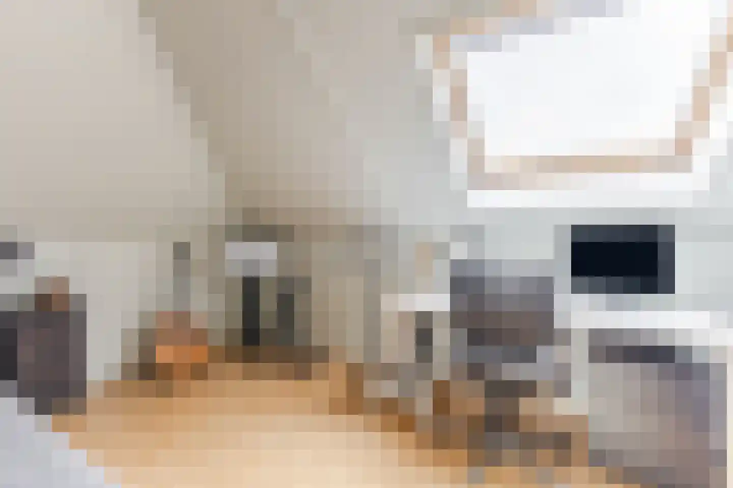 Cornelis Visserstraat 15 Spaarndam thumbnail 42