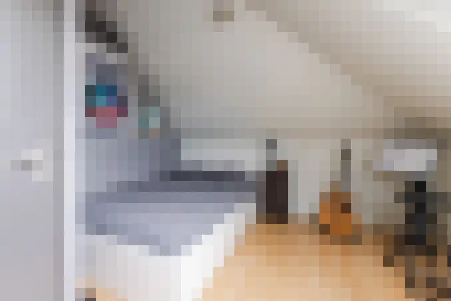 Cornelis Visserstraat 15 Spaarndam thumbnail 43
