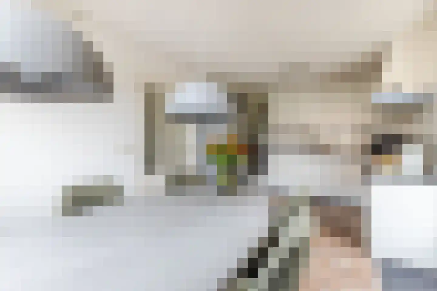 Cornelis Visserstraat 15 Spaarndam thumbnail 6
