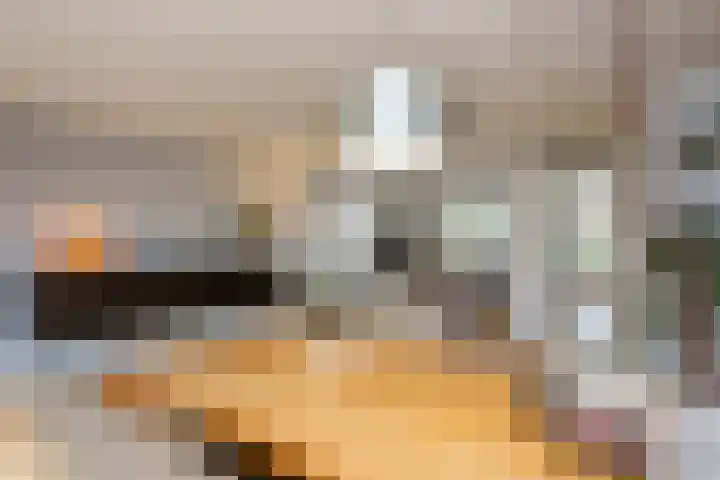 Cornelis Visserstraat 19 Spaarndam thumbnail 16