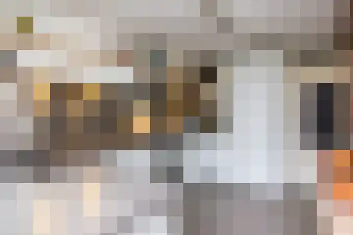 Cornelis Visserstraat 19 Spaarndam thumbnail 19