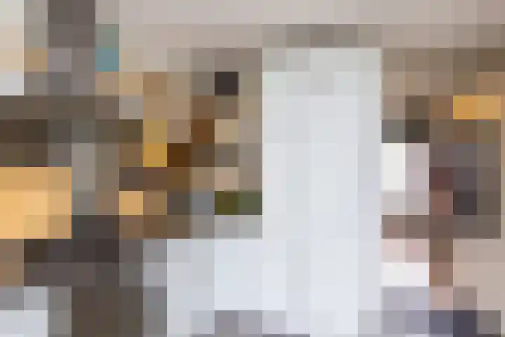 Cornelis Visserstraat 19 Spaarndam thumbnail 20