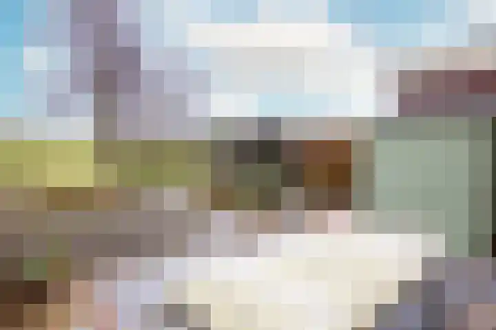 Cornelis Visserstraat 19 Spaarndam thumbnail 22