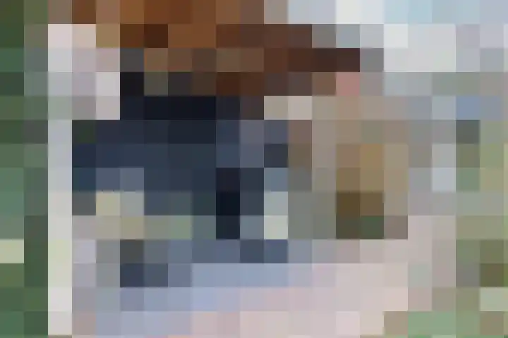 Cornelis Visserstraat 19 Spaarndam thumbnail 25