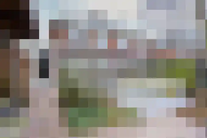 Cornelis Visserstraat 19 Spaarndam thumbnail 30