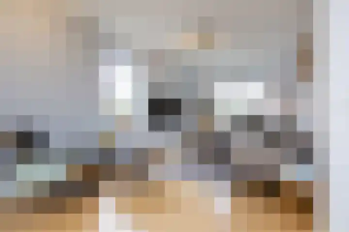 Cornelis Visserstraat 19 Spaarndam thumbnail 7