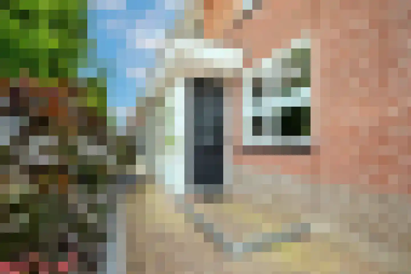 Cornelis Visserstraat 23 Spaarndam thumbnail 13