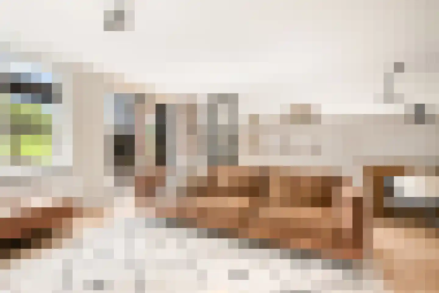 Cornelis Visserstraat 23 Spaarndam thumbnail 19