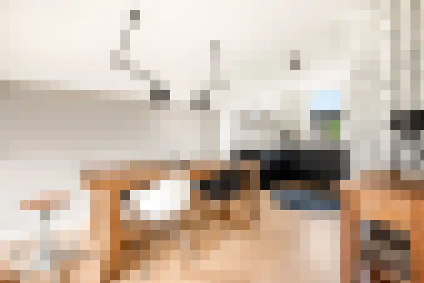 Cornelis Visserstraat 23 Spaarndam thumbnail 23