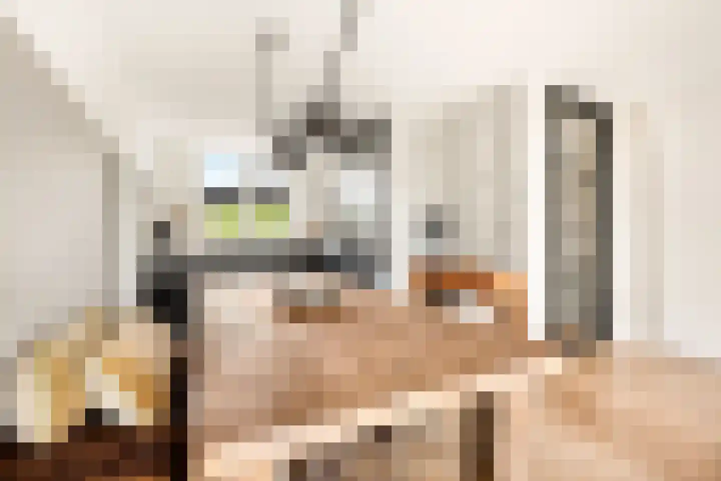 Cornelis Visserstraat 23 Spaarndam thumbnail 24