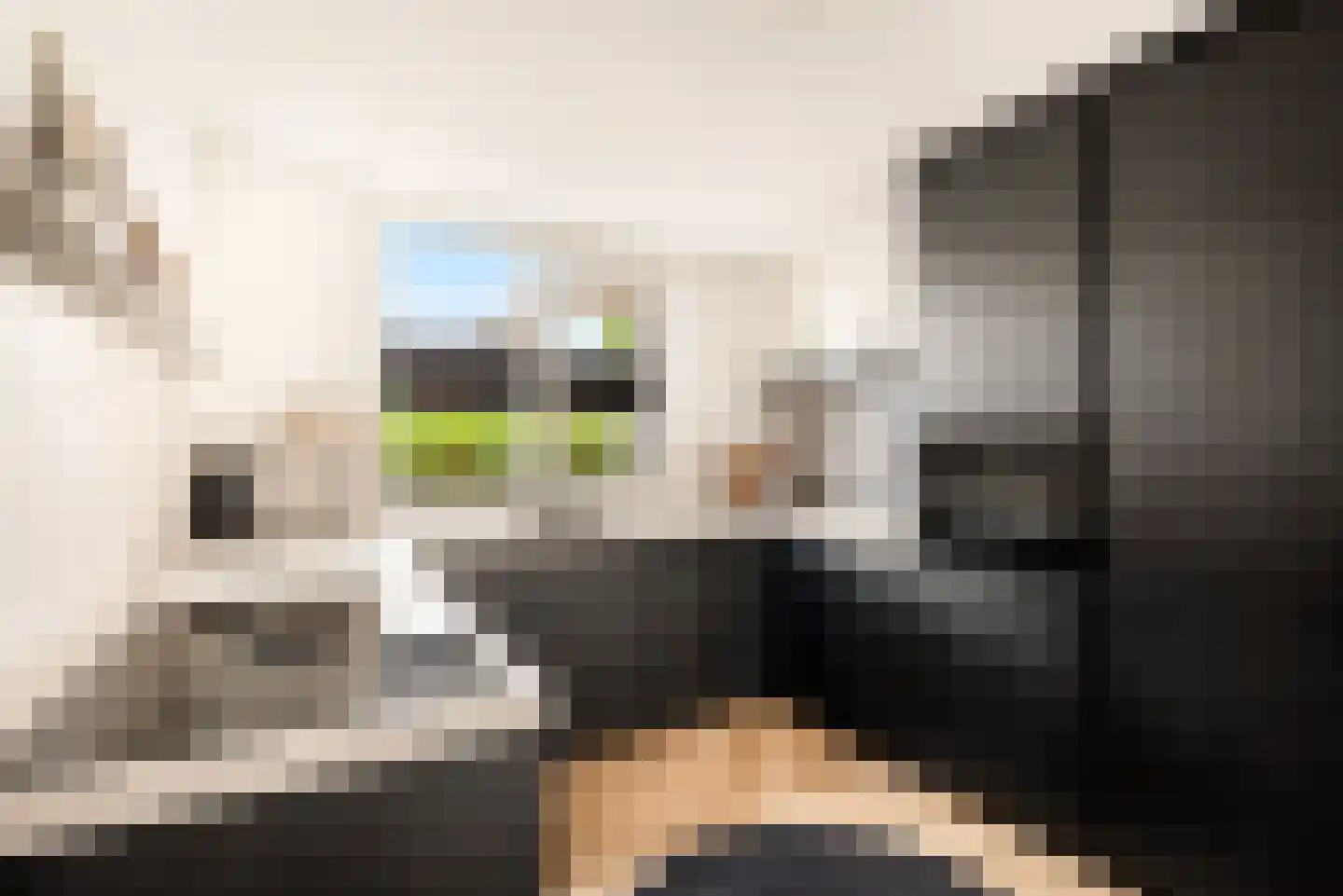 Cornelis Visserstraat 23 Spaarndam thumbnail 28
