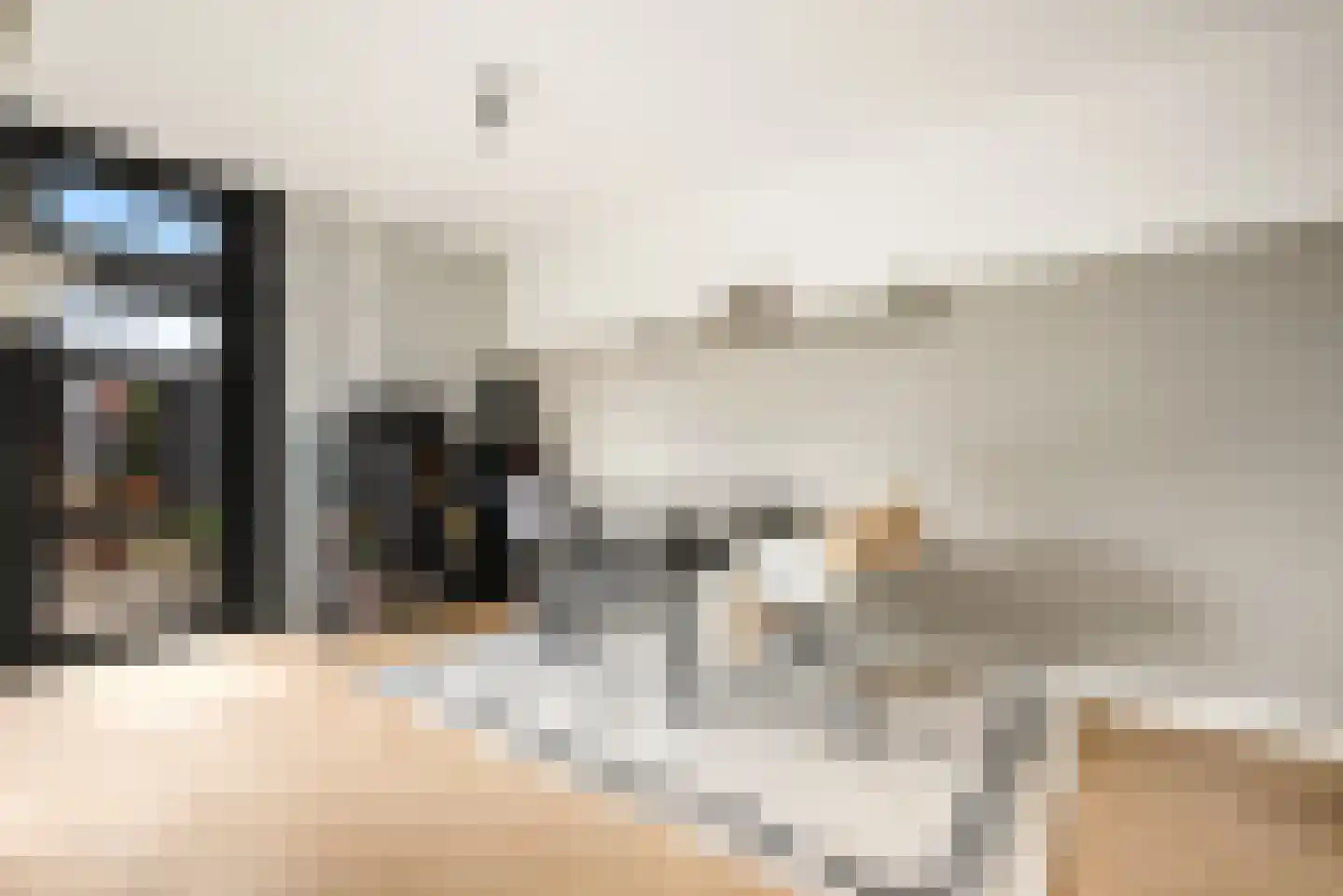 Cornelis Visserstraat 23 Spaarndam thumbnail 34