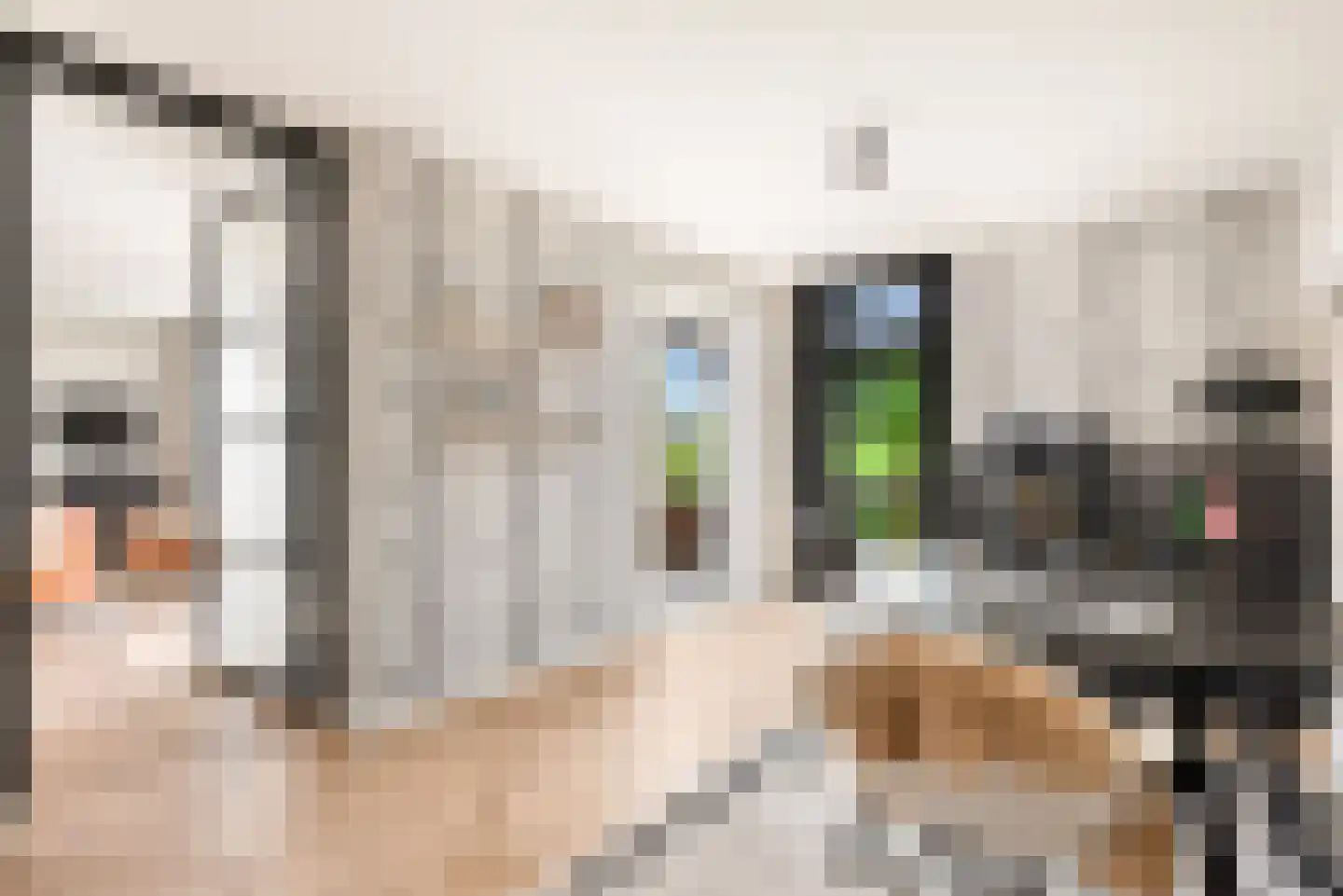 Cornelis Visserstraat 23 Spaarndam thumbnail 35